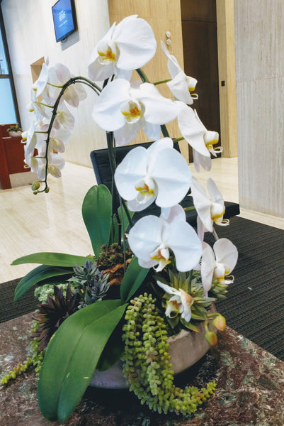 "Steps of Life" Orchid Arrangement