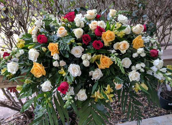 Yellow Red White Roses Garden