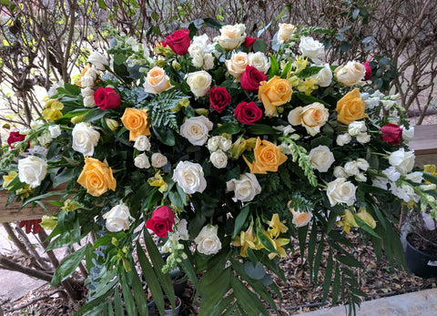 Yellow Red White Roses Garden
