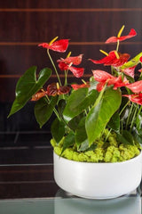 "Natural Hearts" Floweer Arrangement