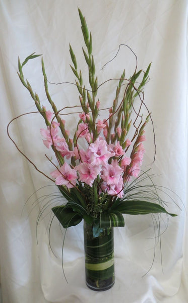 Gladiolus Garden