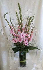 Gladiolus Garden