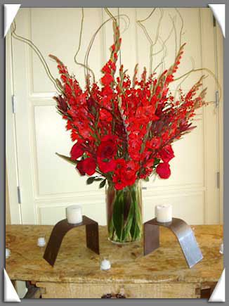 Gladiolus Garden